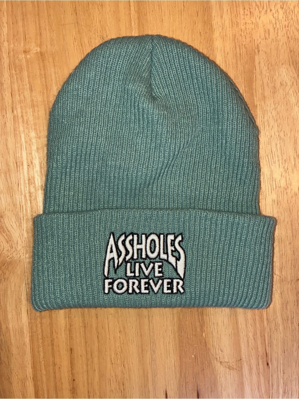 Assholes Live Forever Seafoam Green Beanie ALF Linda Finegold